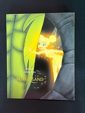 Disney Peter Pan Return to Neverland Lithograph (1)